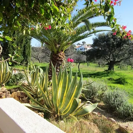 Quinta Mimosa Loulé