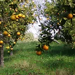 Гостевой дом Quinta Mimosa *