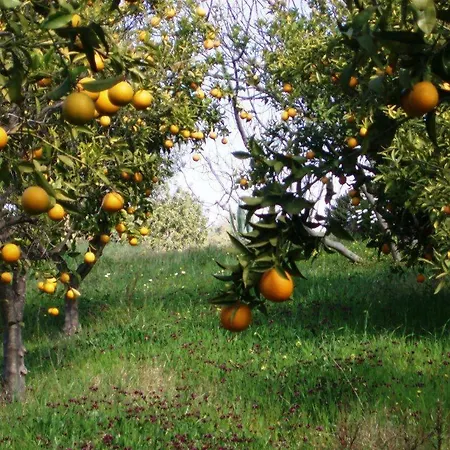Konukevi Quinta Mimosa *