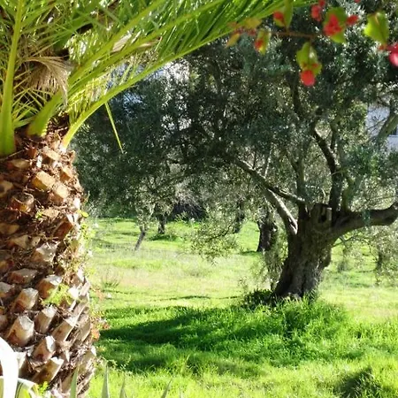 Konukevi Quinta Mimosa *