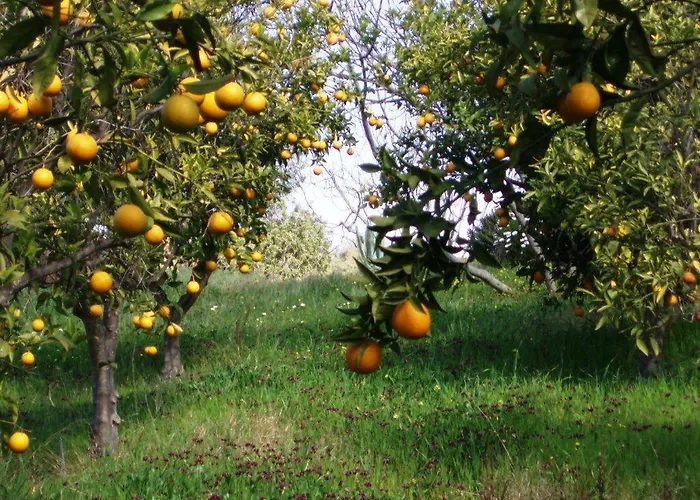 Pensionat Quinta Mimosa *