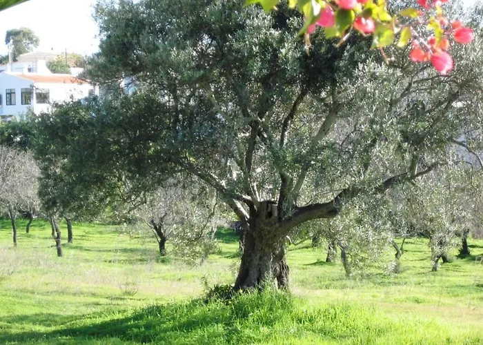 Pensionat Quinta Mimosa *