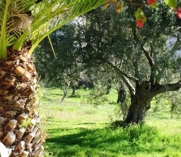 Pensionat Quinta Mimosa *