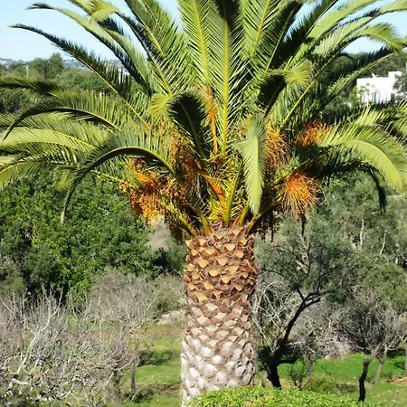 Maison d'hôtes Quinta Mimosa *