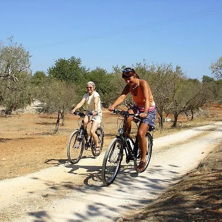 Quinta Mimosa * ローレ